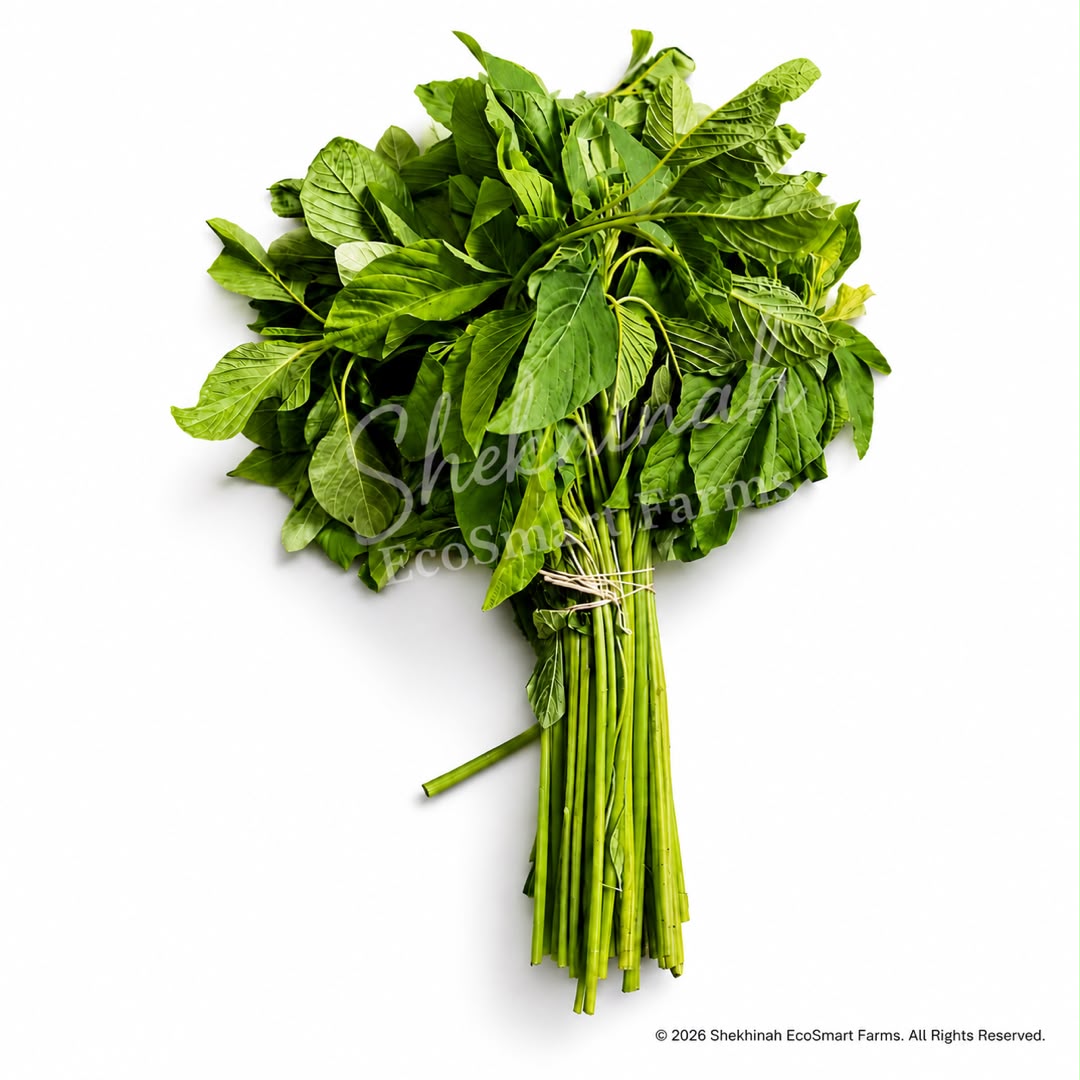 Callaloo (Ẹ̀fọ́ Tẹ̀tẹ̀)